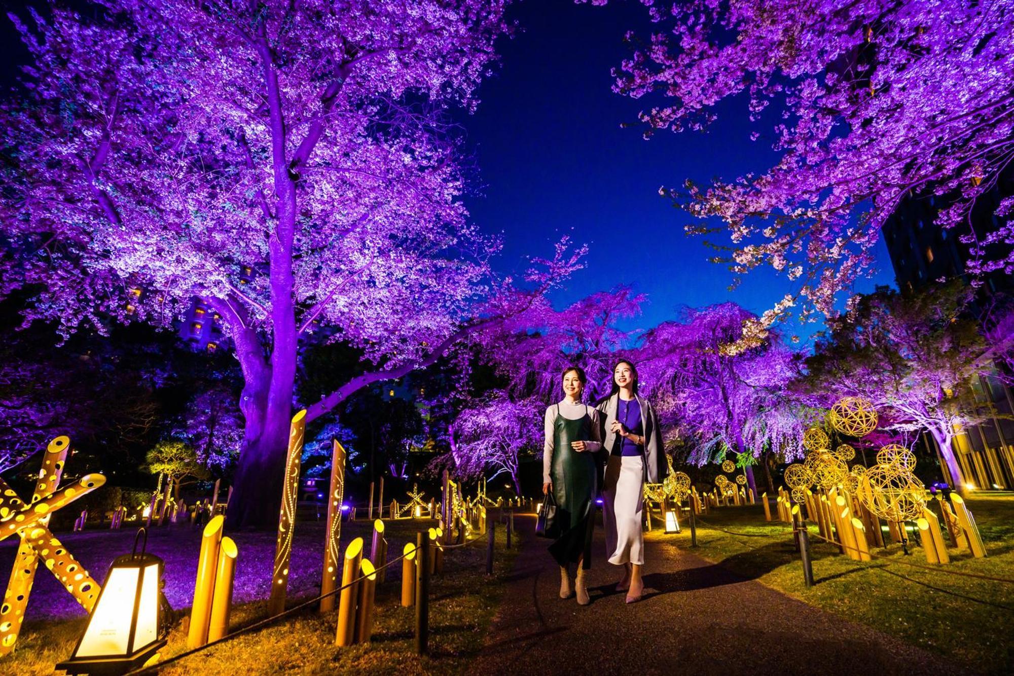 Grand Prince Hotel Takanawa Tokyo Esterno foto Illumination of the park