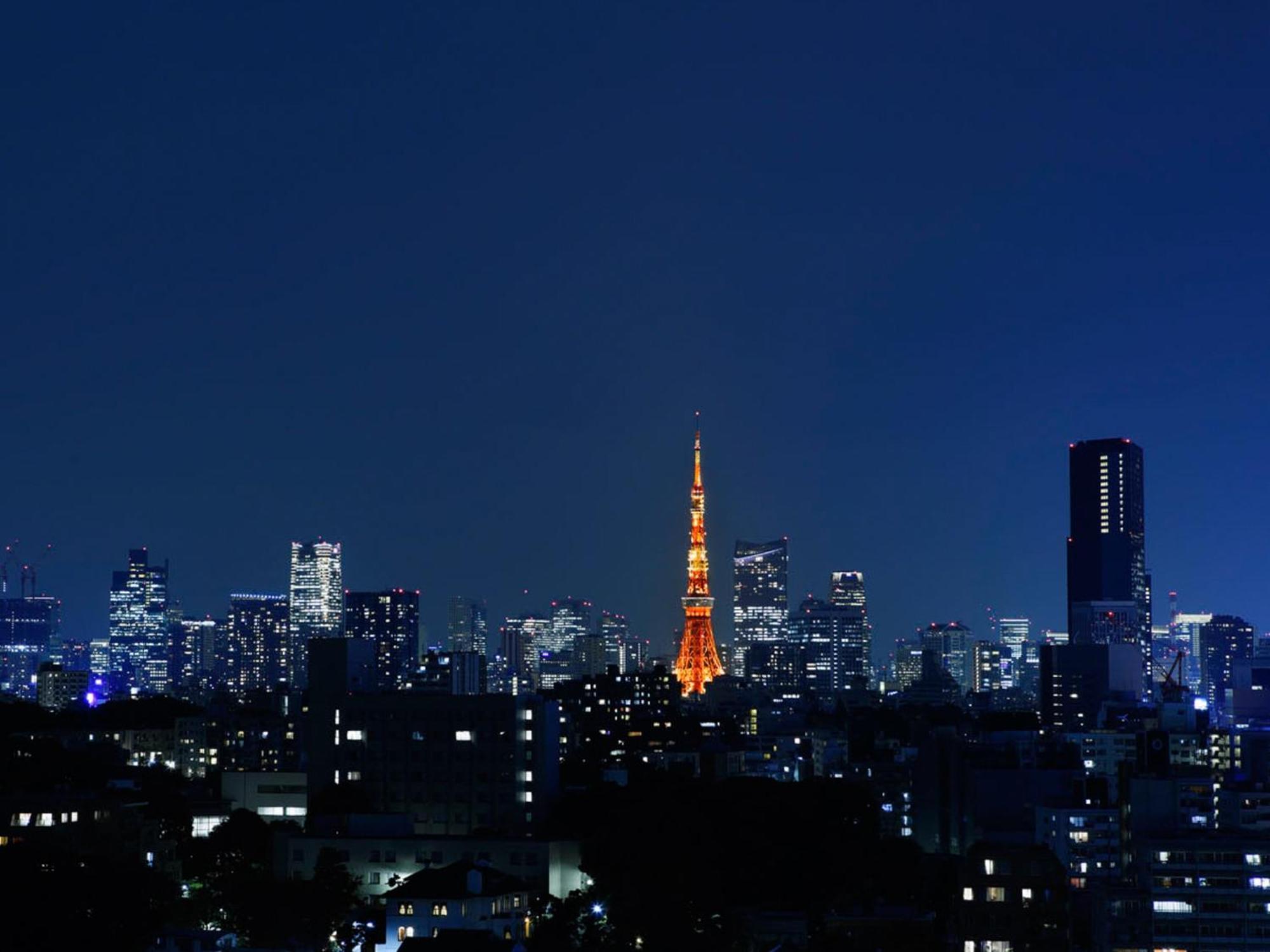 Grand Prince Hotel Takanawa Tokyo Camera foto