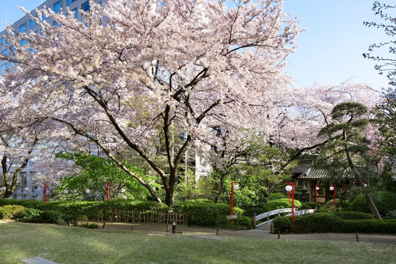 Grand Prince Hotel Takanawa Tokyo Esterno foto Sakura at the Japanese garden
