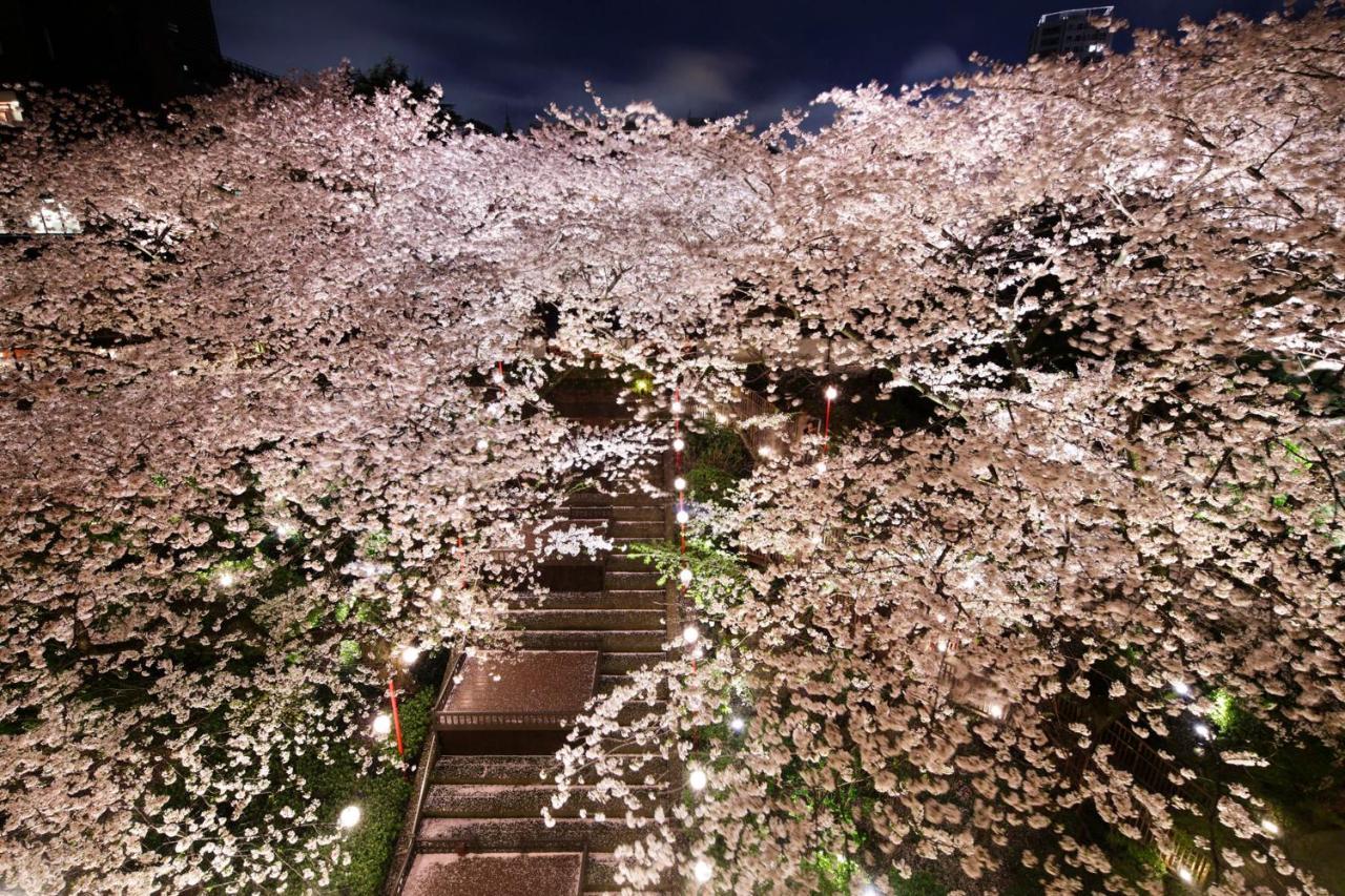 Grand Prince Hotel Takanawa Tokyo Esterno foto Cherry blossoms at night